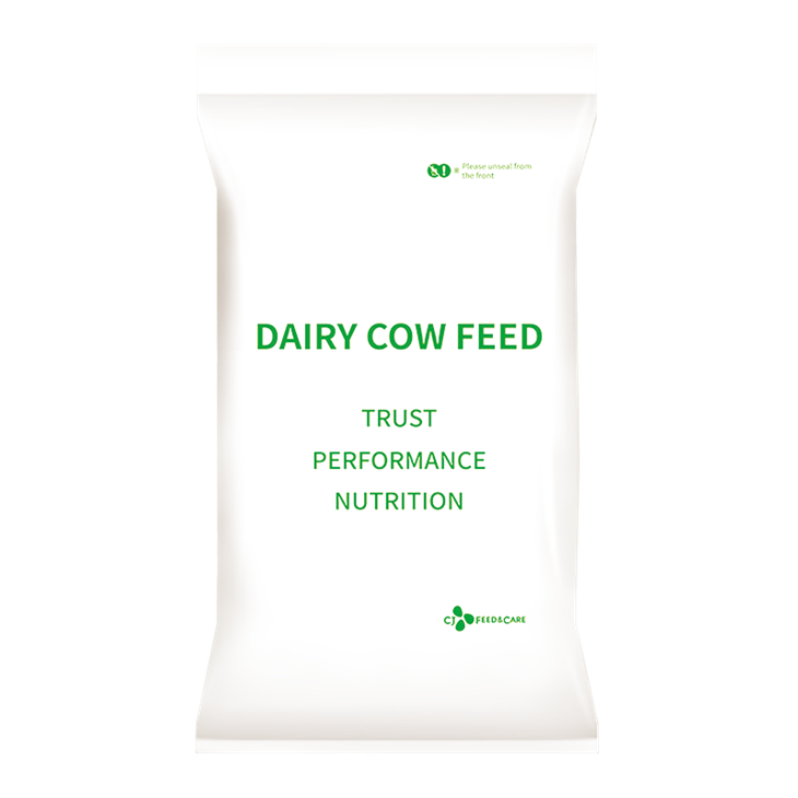 cow feed
